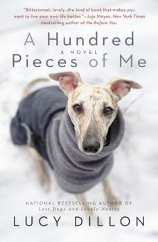 Paperback A Hundred Pieces of Me Book