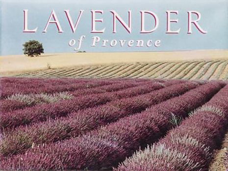 Hardcover Lavender of Provence Book