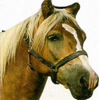 Paperback Pony (Funfax Shaped Board Books) Book