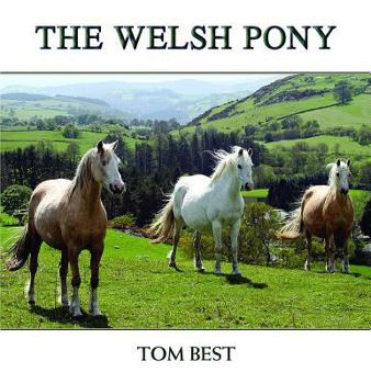 Hardcover The History of the Welsh Pony Book