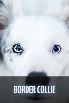 Paperback Border Collie: The Complete Breed Guide Book
