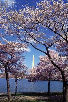 Travel Journal Cherry Trees Bloom Tidal Basin Washington Monument DC : (Notebook, Diary, Blank Book)