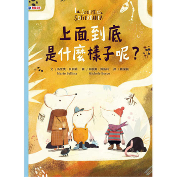 What Does It Look Like Up There? (Chinese Edition)