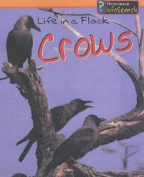 Hardcover Animal Groups: Crows - Life in a Flock (Animal Groups) Book