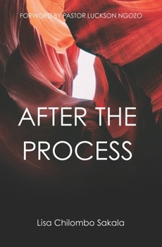 Paperback After the Process Book