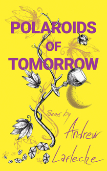 Paperback Polaroids of Tomorrow Book