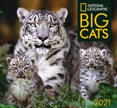 National Geographic Big Cats 2021 Wall Calendar