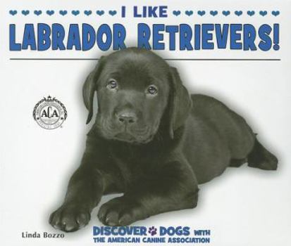 Paperback I Like Labrador Retrievers! Book