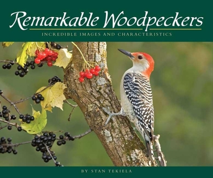 Paperback Remarkable Woodpeckers: Incredible Images and Characteristics Book