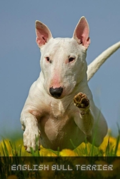 Paperback English Bull Terrier: Complete breed guide Book