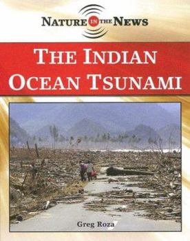 Library Binding The Indian Ocean Tsunami Book