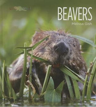 Beavers - Book  of the Living Wild