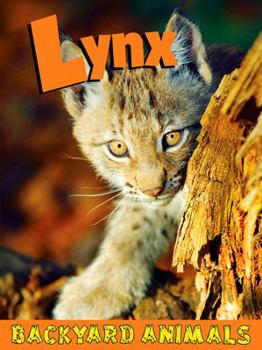 Lynx - Book  of the Backyard Animals