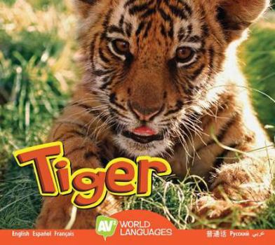 Library Binding Tiger Book