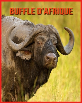 Buffle d'Afrique: Informations Amusantes & Belles Images