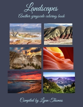 Paperback Landscapes: Another Grayscale Coloring Book