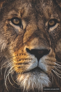 Calendario annuale 2020: ? Manuale dell'organizzatore pratico per il 2020 ? Anteprima di 12 mesi ? 52 pianificatore settimanale con compiti e obiettivi ? formato 6x9 ? motif: Löwe (Italian Edition)