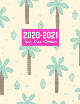 2020-2021 Two Year Planner: Nifty 24-Months Calendar, 2-Year Appointment Business Planners, Agenda Schedule Organizer Logbook and Journal | Art Cover 00023189