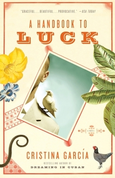 Paperback A Handbook to Luck Book