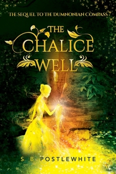 Paperback The Chalice Well Book