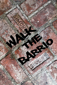 Paperback Walk the Barrio: The Streets of Twenty-First-Century Transnational Latinx Literature Book