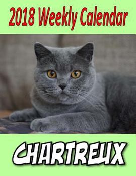Paperback 2018 Weekly Calendar Chartreux: Cat Jokes, Puns & Maze, Personal Notes, To Do List and More... Book