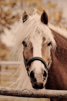 Paperback Dreamy Horse Journal: 150 Page Lined Notebook/Diary Book