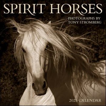 Calendar Spirit Horses 2025 Wall Calendar by Tony Stromberg Book
