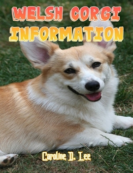 Welsh Corgi Information: Welsh Corgi dog fact for girl age 1-10 Welsh Corgi dog fact for boy age 1-10 fun fact corgi stuffed animal