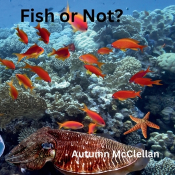 Fish or Not?: Ocean Creatures Volume 1