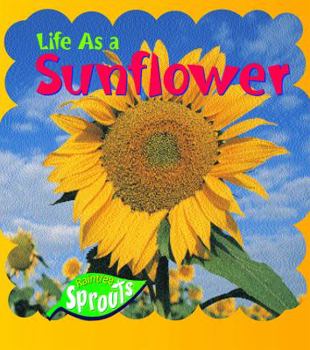 Paperback Life as a Sunflower Book