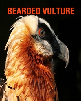 Paperback Bearded Vulture: Fun Learning Facts About Bearded Vulture Book