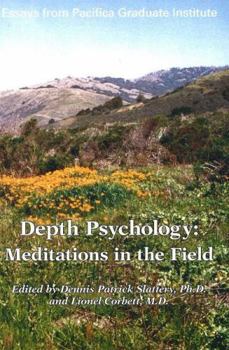 Paperback Depth Psychology: Meditations in the Field Book