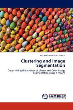 Paperback Clustering and Image Segmentation Book