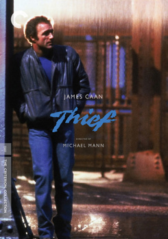 DVD Thief Book