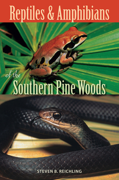 Paperback Reptiles and Amphibians of the Southern Pine Woods Book