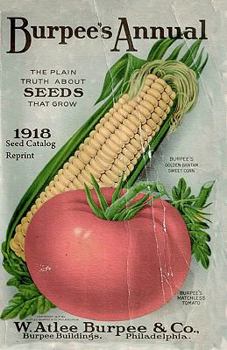 Paperback Burpee's Annual 1918 Seed Catalog Reprint Book