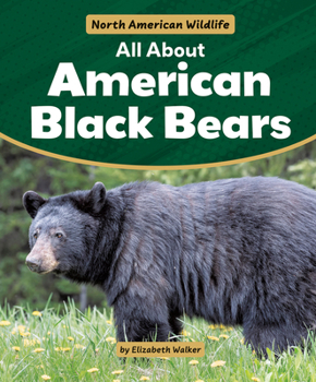 All about American Black Bears