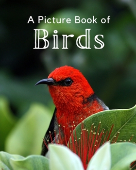 Paperback A Picture Book of Birds: A Beautiful Picture Book for Seniors With Alzheimer's or Dementia. A Perfect Gift For Bird Lovers! Book