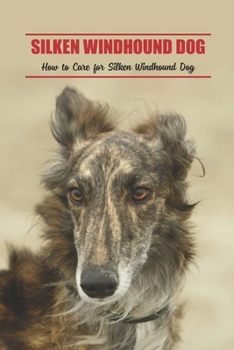 Silken Windhound Dog: How to Care for Silken Windhound Dog