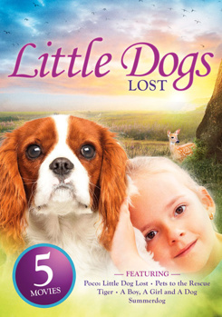 DVD Little Dogs Lost Book