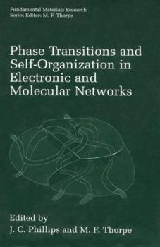 Paperback Phase Transitions and Self-Organization in Electronic and Molecular Networks Book