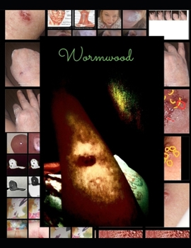 Paperback Surviving Wormwood: Heavenologist Book