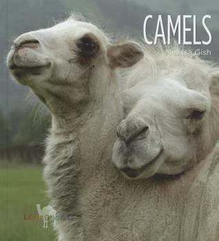 Camels - Book  of the Living Wild