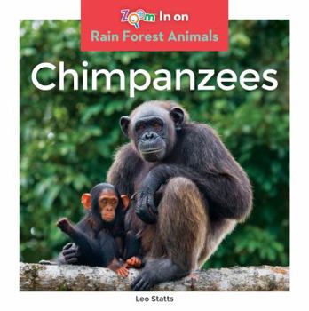 Chimpanzees - Book  of the Rain Forest Animals