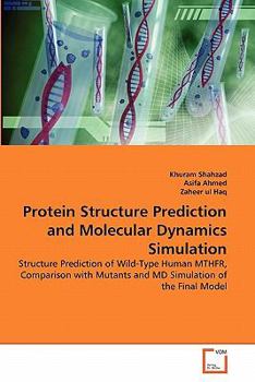 Paperback Protein Structure Prediction and Molecular Dynamics Simulation Book