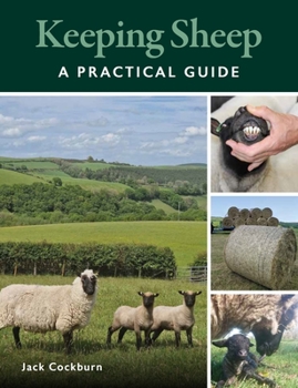 Paperback Keeping Sheep Book