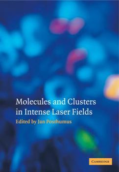 Paperback Molecules and Clusters in Intense Laser Fields Book