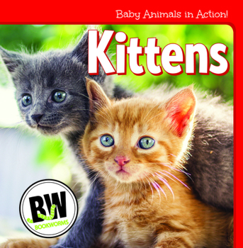 Library Binding Kittens Book