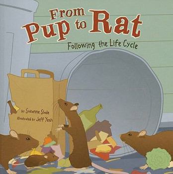 Hardcover From Pup to Rat: Following the Life Cycle Book